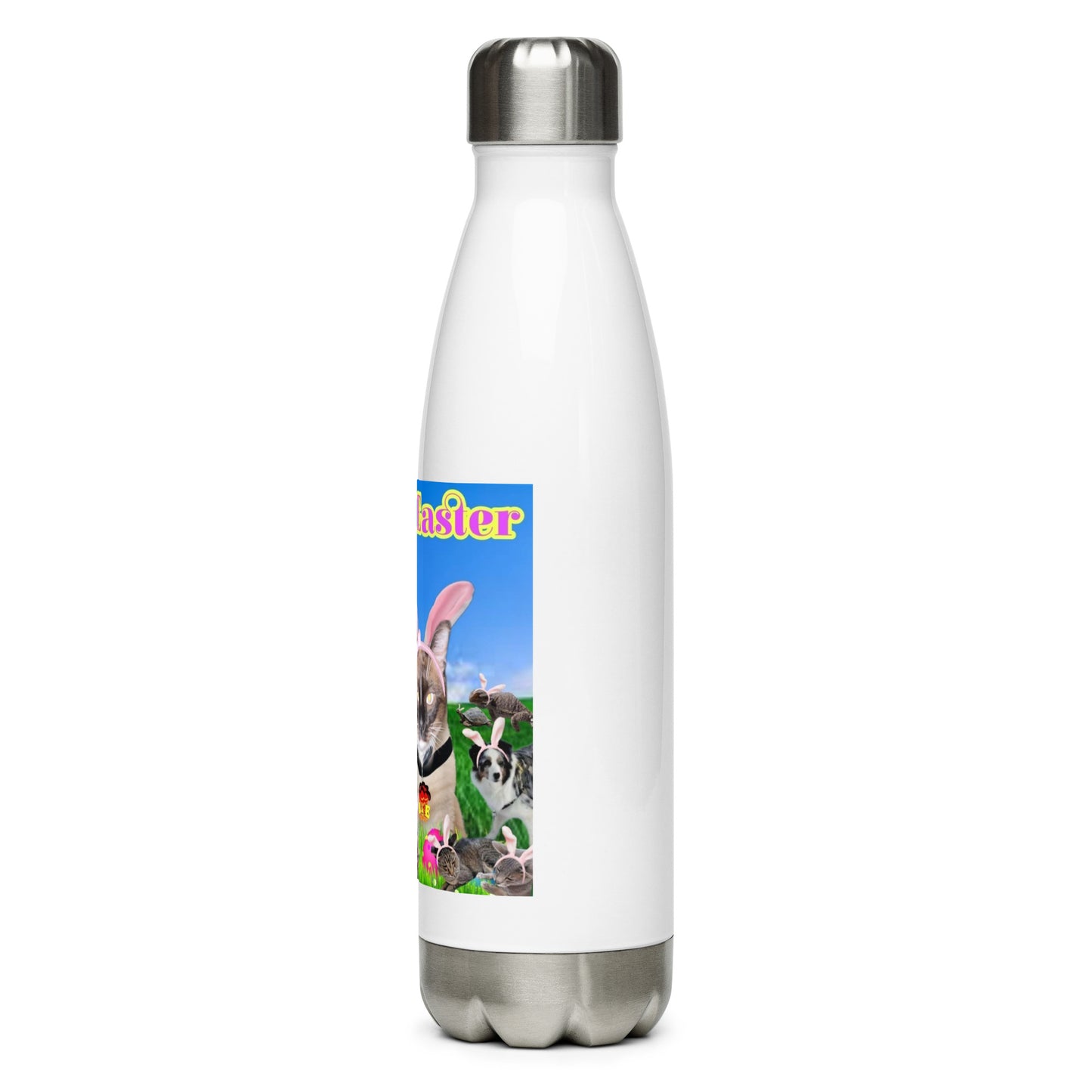 Stainless Steel Water Bottle (EASTER)